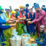 Ogun Empowers Farmers with Subsidised Inputs, Training | Daily Report Nigeria