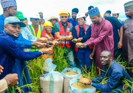 Ogun Empowers Farmers with Subsidised Inputs, Training | Daily Report Nigeria