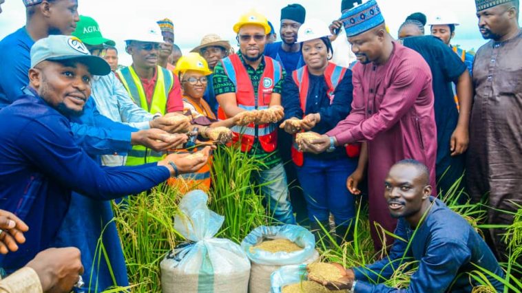 Ogun Empowers Farmers with Subsidised Inputs, Training | Daily Report Nigeria