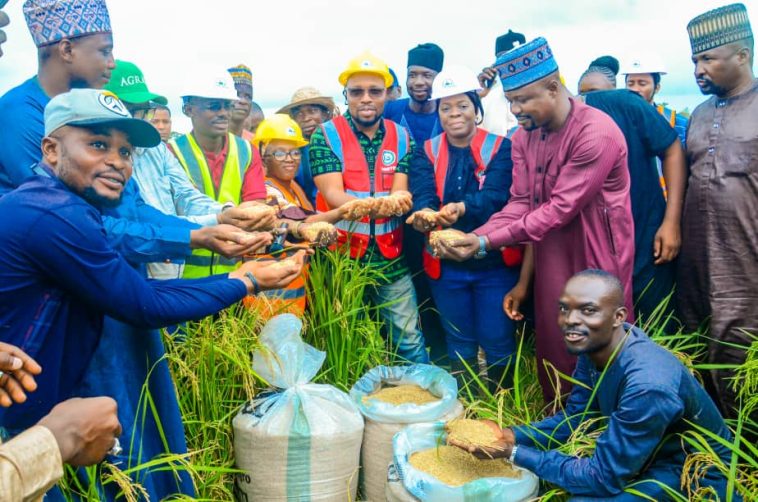 Ogun Empowers Farmers with Subsidised Inputs, Training | Daily Report Nigeria