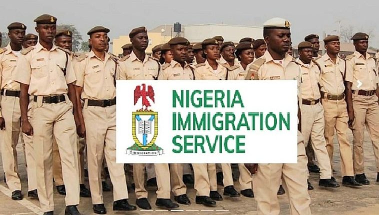 NIS Investigates Destruction of Passport at Lagos Airport | Daily Report Nigeria