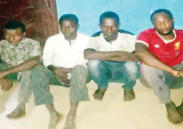 Five Arrested for Stealing 18 Cows in Ogun | Daily Report Nigeria