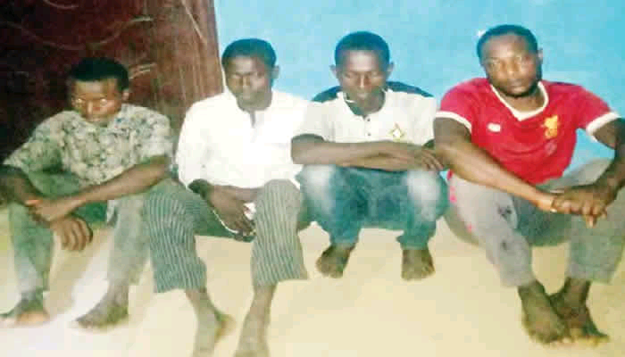 Five Arrested for Stealing 18 Cows in Ogun | Daily Report Nigeria