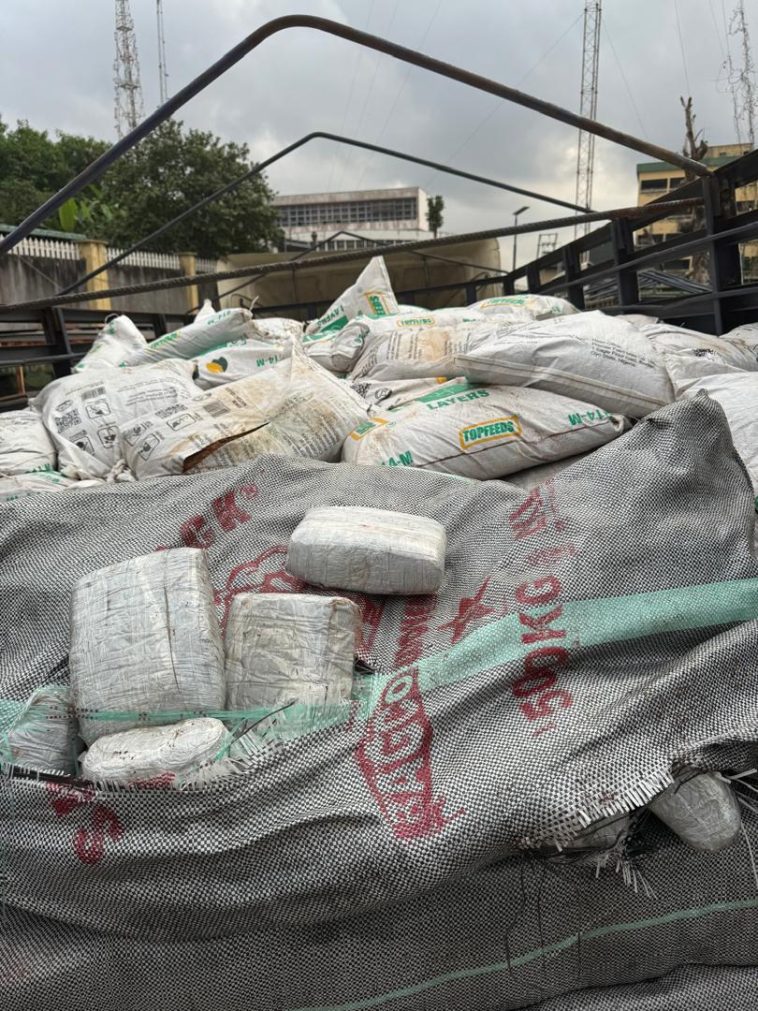 Customs Seize 2,280 Wraps of Cannabis Conveyed in Sawdust | Daily Report Nigeria