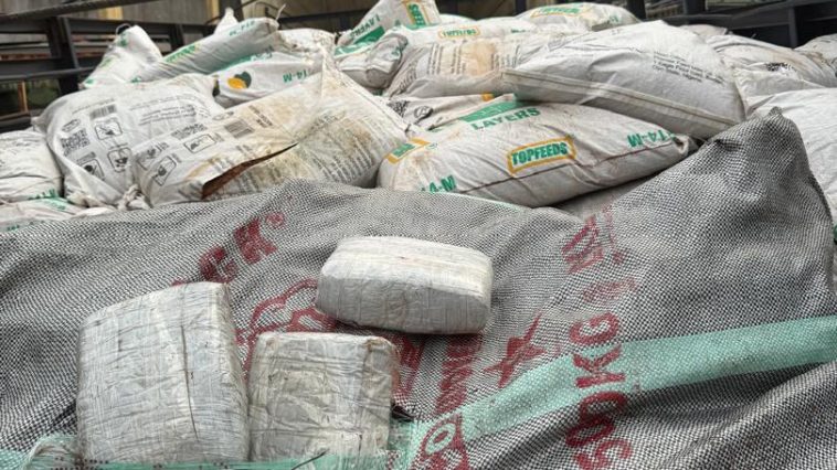 Customs Seize 2,280 Wraps of Cannabis Conveyed in Sawdust | Daily Report Nigeria