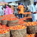 FG Plans Tax Exemption On Food, Transportation, Rents | Daily Report Nigeria