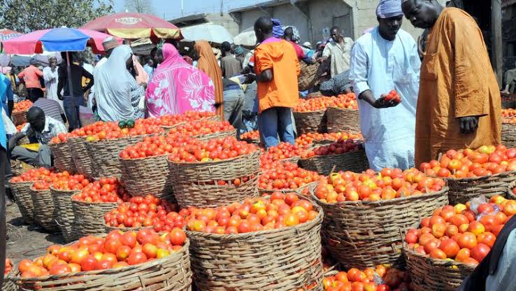 Traders Lament As Prices Of Food Slash Amid #EndBadGovernance Protest | Daily Report Nigeria