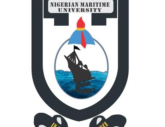 Tinubu Appoints Governing Council For Maritime University, Okerenkoko; 12 Others