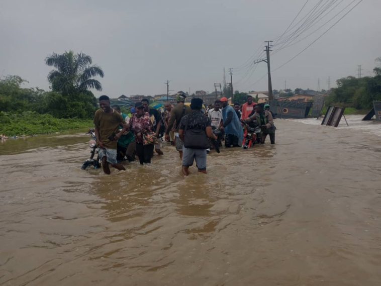 Flood Washes Bridge Away In Kebbi | Daily Report Nigeria