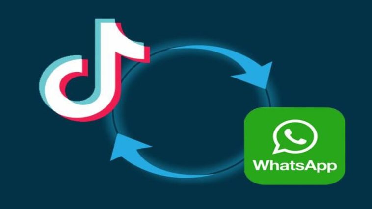 Bangladesh Bans WhatsApp, Other Social Media Platforms | Daily Report Nigeria