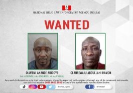 JUST IN: NDLEA Arrests Notorious Drug Baron | Daily Report Nigeria