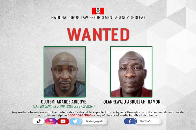 JUST IN: NDLEA Arrests Notorious Drug Baron | Daily Report Nigeria