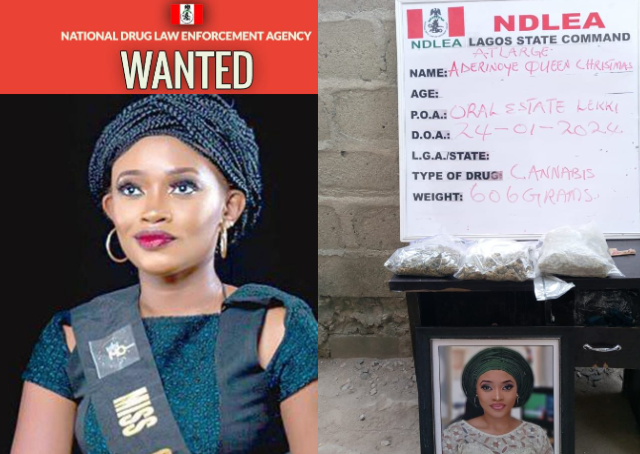 Wanted Ex-Beauty Queen Surrenders to NDLEA After 8 Months in Hiding | Daily Report Nigeria