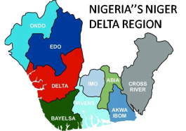 Niger Delta Ethnic Nationalities Demand Decentralization Of Power | Daily Report Nigeria