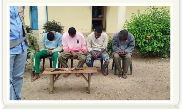 Police Arrest 7 Suspects in Osun for Possession of Human Body Parts | Daily Report Nigeria