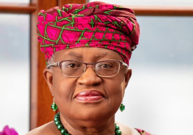 WTO Chief Ngozi Seeks Second Term, Vows to Tackle 'Unfinished Business' | Daily Report Nigeria