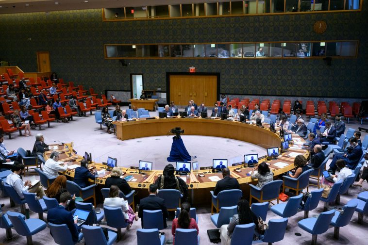 Nigeria Demands Permanent Seat in UN Security Council | Daily Report Nigeria