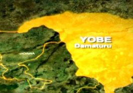 Many Dead, Houses Burnt, Shops Destroyed As Bandits Invade Yobe Community | Daily Report Nigeria