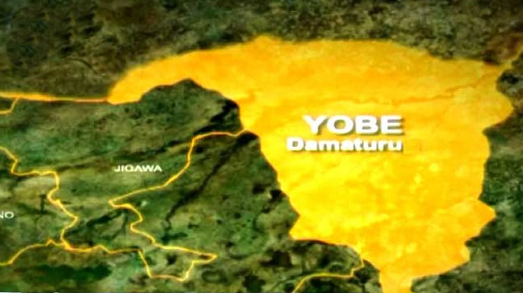 Yobe Govt Donates N30m to Families of Insurgent Attack Victims | Daily Report Nigeria