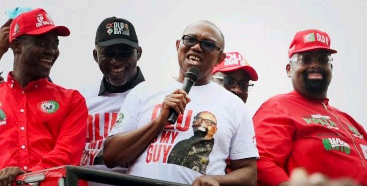 Labour Party Blames Leadership Struggles for Edo Gubernatorial Defeat | Daily Report Nigeria