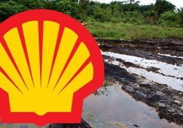 Niger Delta Activist Carpets Shell Over False Claims on Oil Spill