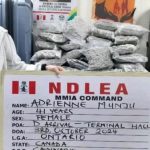 Canadian Lady Sentenced For Drug Trafficking In Nigeria | Daily Report Nigeria