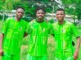 Kano Pillars