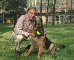 Indian Billionaire Wills £91million Fortune To His DOG | Daily Report Nigeria