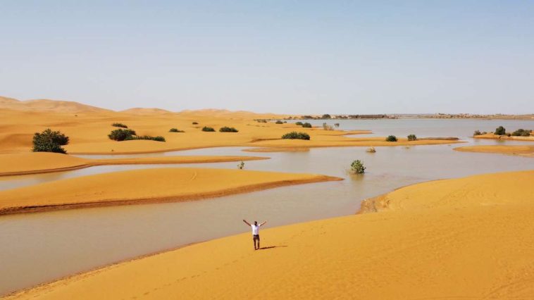 Rare Downpour Transforms Sahara Desert Into Vibrant Blue Lagoons | Daily Report Nigeria