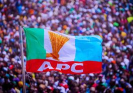 Man Divorces Wife For 'Attending APC Meeting' in Kano | Daily Report Nigeria