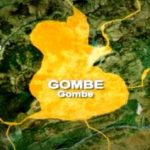 Man, 31, Stabs Aunt To Death In Gombe | Daily Report Nigeria