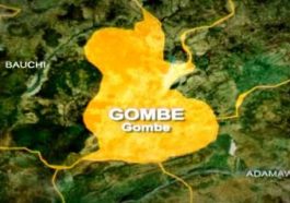 Man, 31, Stabs Aunt To Death In Gombe | Daily Report Nigeria