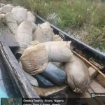 Troops Arrest 4, Close Down Illegal Refineries In Rivers | Daily Report Nigeria