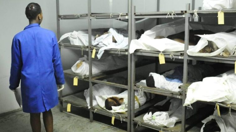 Govt Begins Taxing Corpses At Mortuaries, Netizens React | Daily Report Nigeria