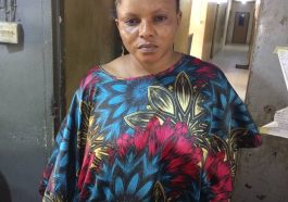 Housemaid Arrested, For Stealing Jewelry Worth $60,000 | Daily Report Nigeria