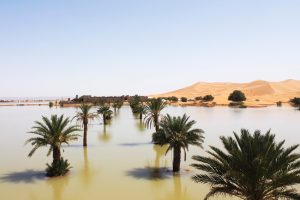 Rare Downpour Transforms Sahara Desert Into Vibrant Blue Lagoons | Daily Report Nigeria