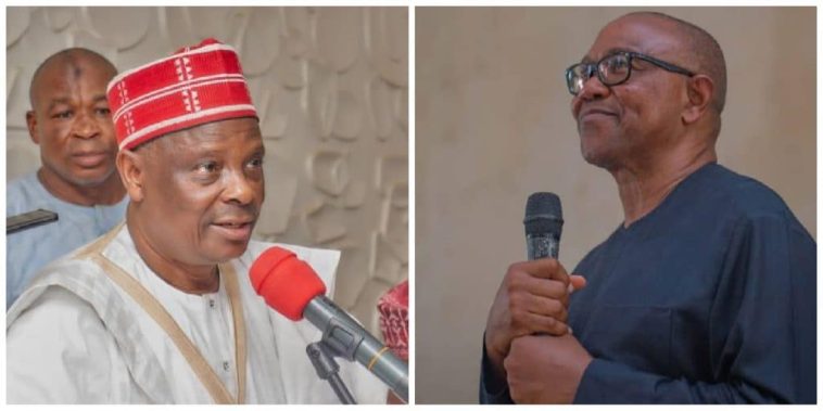 2027 Election: Why Peter Obi, Kwankwaso Alliance Proposal Will Fail – APC | Daily Report Nigeria