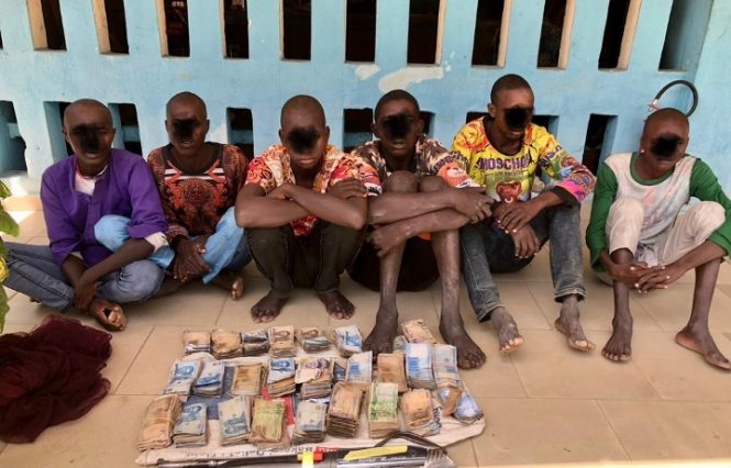 Police Arrest Kidnappers, Armed Robbers In Borno | Daily Report Nigeria