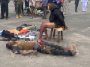 One Dead, One Arrested, As Police Dissolve Kidnap Syndicate In Owerri | Daily Report Nigeria