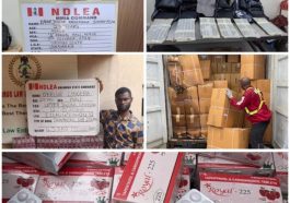 NDLEA Intercept Drug Trafficker, Recover Drugs Worth N3.1bn | Daily Report Nigeria