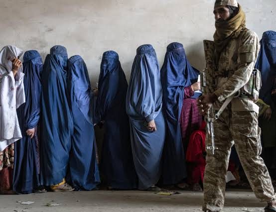 Taliban bans women from ‘hearing other women’s voices’ | Daily Report Nigeria