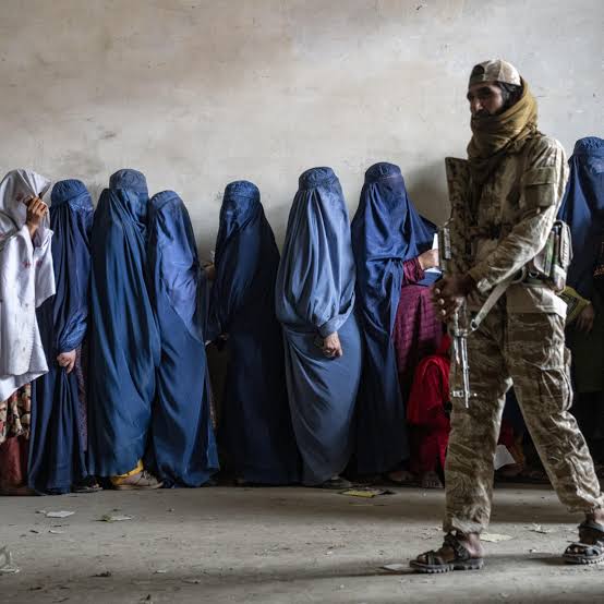 Taliban bans women from ‘hearing other women’s voices’ | Daily Report Nigeria