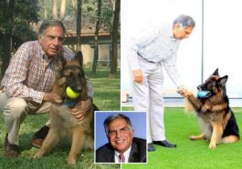 Indian Billionaire Wills £91million Fortune To His DOG | Daily Report Nigeria