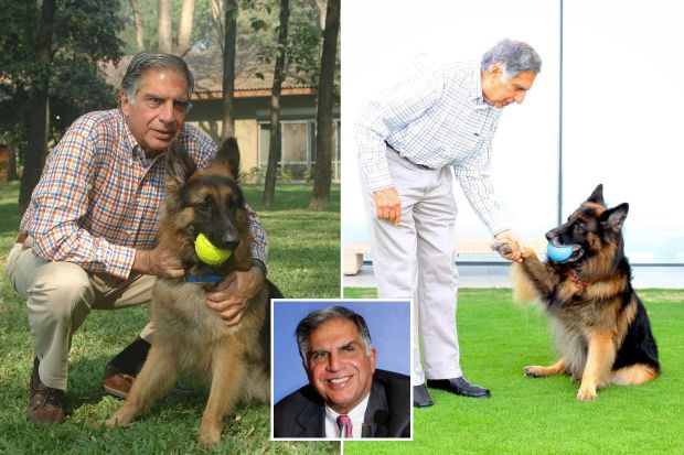 Indian Billionaire Wills £91million Fortune To His DOG | Daily Report Nigeria