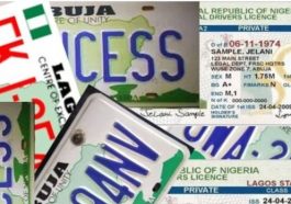 JUST IN: FG Increases Price Of Plate Numbers, Drivers License | Daily Report Nigeria