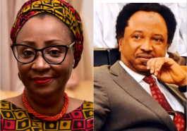 Grammar Clash:"Mummy, Leave Me Alone" - Senator Shehu Sani Tells El-Rufai's Wife | Daily Report Nigeria