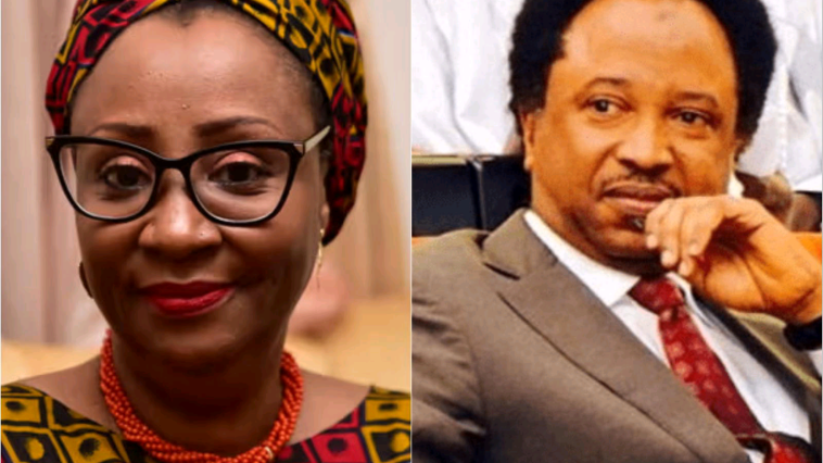 Grammar Clash:"Mummy, Leave Me Alone" - Senator Shehu Sani Tells El-Rufai's Wife | Daily Report Nigeria