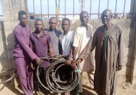 6 Arrested For Stealing Cables In Niger | Daily Report Nigeria