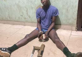 Police Arrest Suspected Armed Robber In Ogun | Daily Report Nigeria