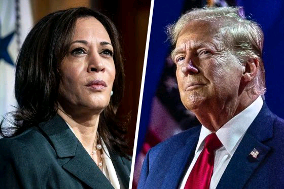 Kamala Harris Concedes Defeat, Congratulates Trump on U.S. Election Victory